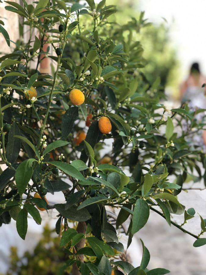 Agriturismo Gaia Villa Noto Dış mekan fotoğraf