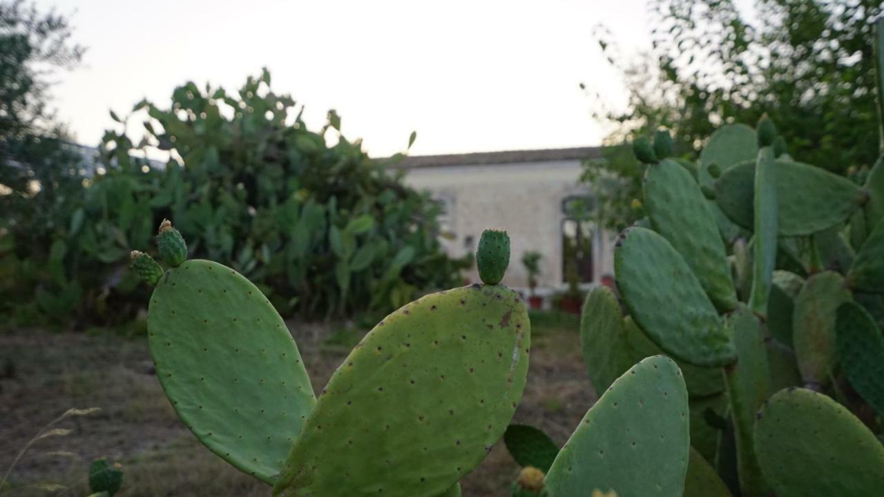Agriturismo Gaia Villa Noto Dış mekan fotoğraf